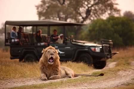 2 Days Tarangire National Park