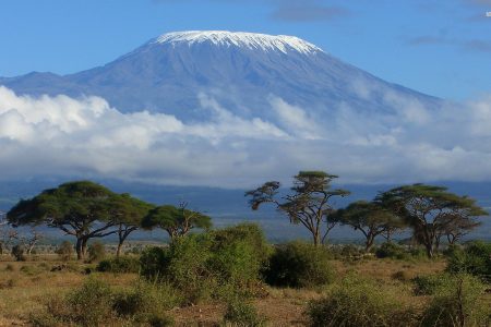 Day Hike On Mount Kilimanjaro From Arusha