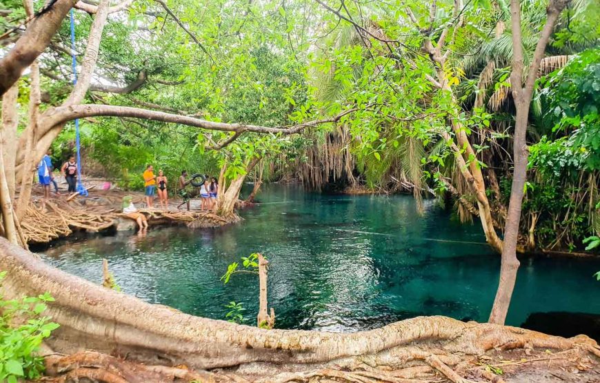 Chemka Hot Springs day-trip from Arusha