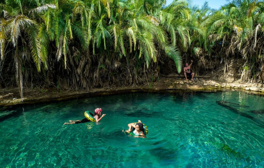 Chemka Hot Springs day-trip from Arusha