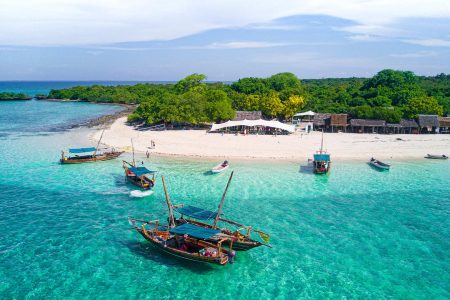 Safari Blue Zanzibar